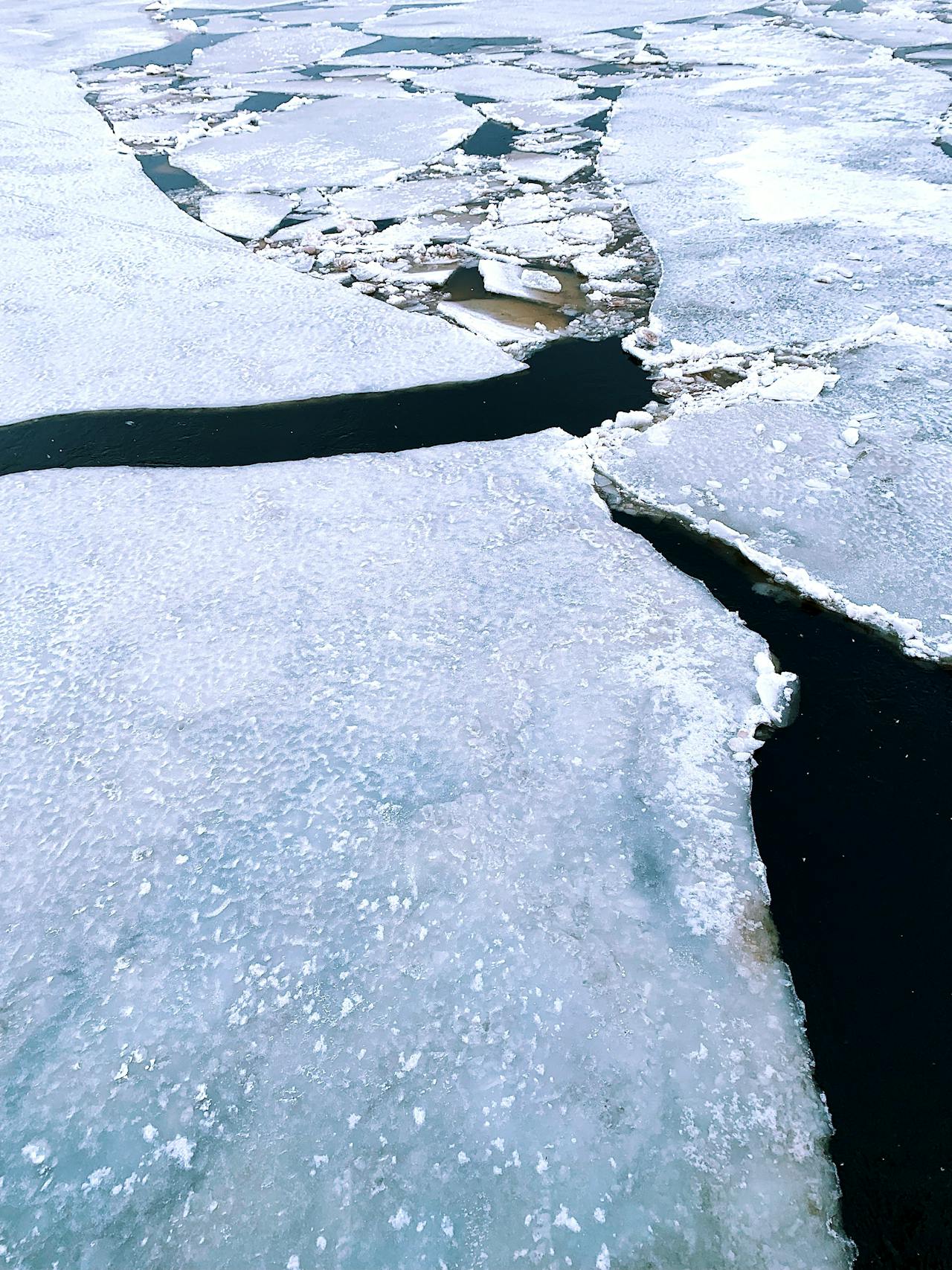 The Arctic